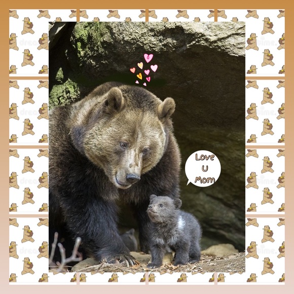 🐻KIDS BUY 1 GET 1 HALF🐻 - Picture 3 of 8